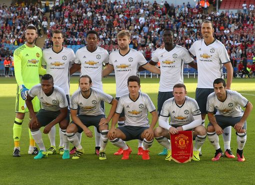 的悉心栽培 的悉心栽培